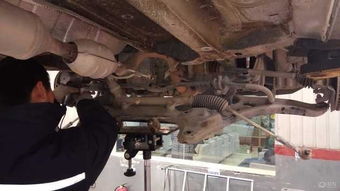 大白回娘家記 一次轉向機更換與紙元寶的偶遇