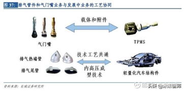 汽車電子專題報(bào)告 保隆科技深度解析與共保科技趨勢(shì)展望